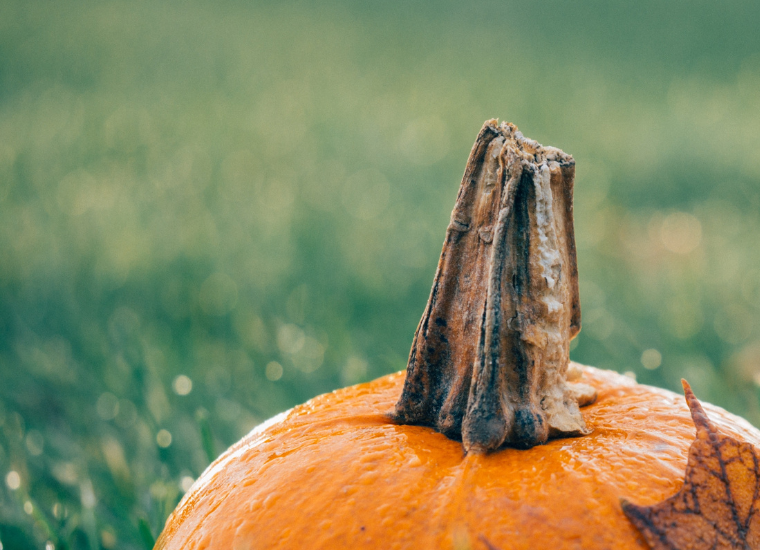 foto Oktober woonmaand: Transformeer je exterieur met Keramische Buitentegels.