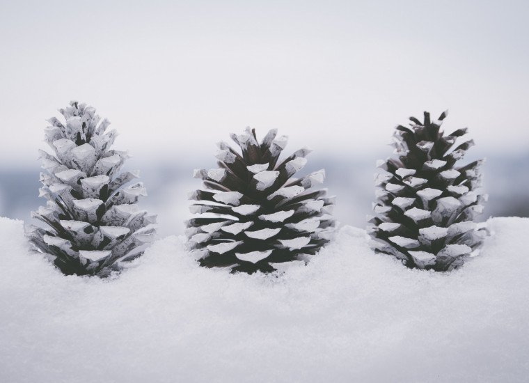 foto Vorst, sneeuw en buitentegels